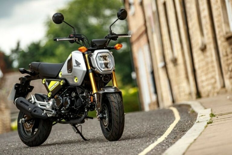 Cập nhật hơn 55 về xe honda cho người lùn hay nhất